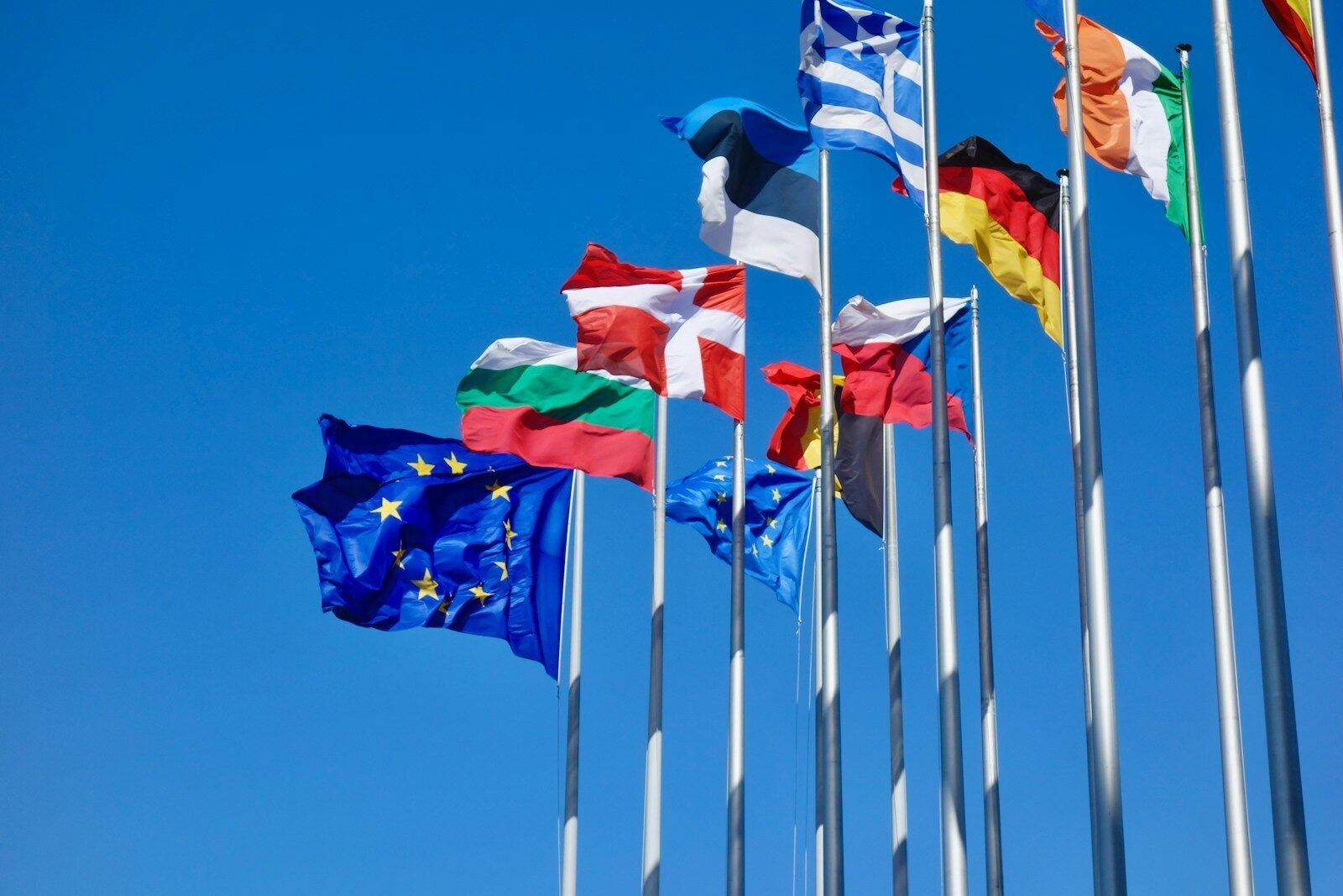 Magyar francia online fordító